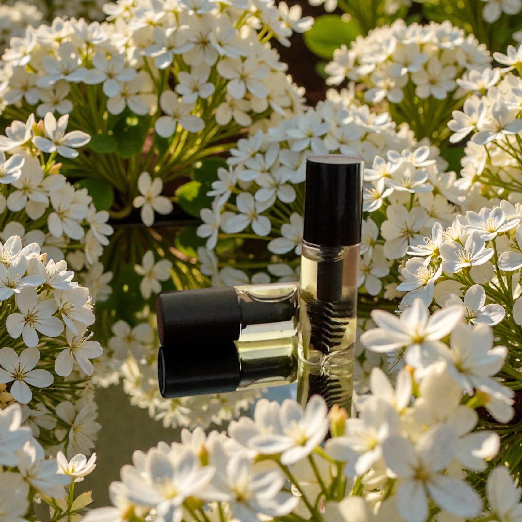 Extreme Eyebrow Growth Oil