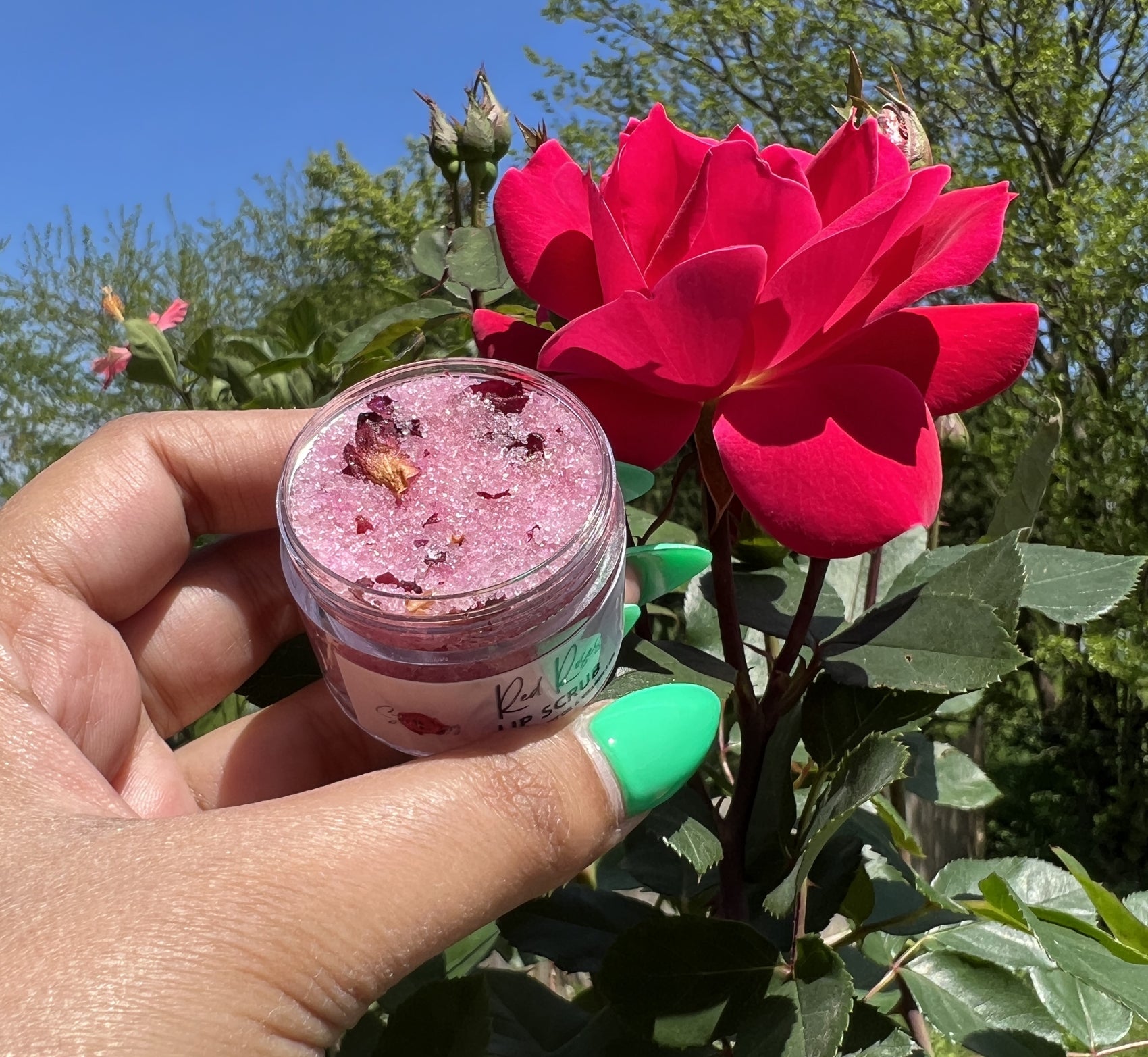 Red Roses Lip Scrub